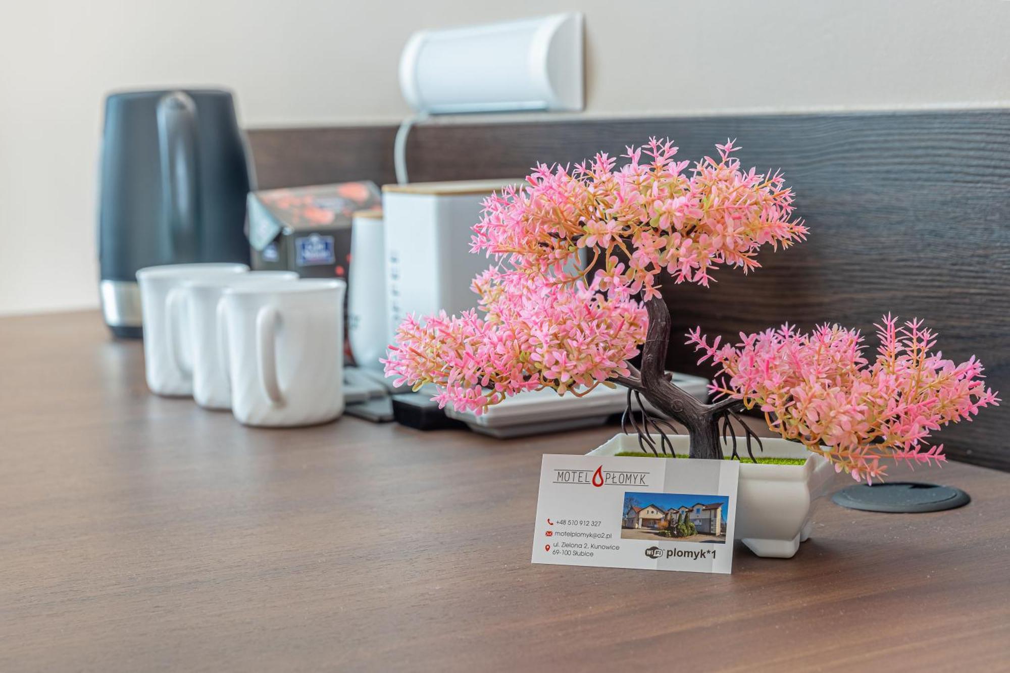 Motel "Plomyk" Kunowice Екстер'єр фото